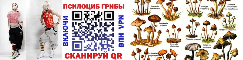 Псилоцибиновые грибы мухоморы  Оленегорск 