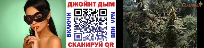 Конопля SATIVA & INDICA  где продают   Оленегорск 